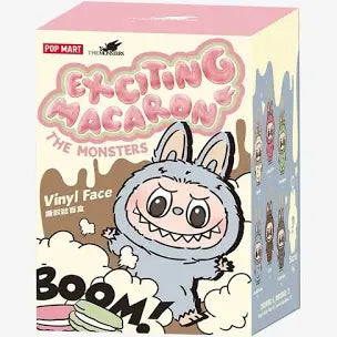 Exciting Macaron Single Box